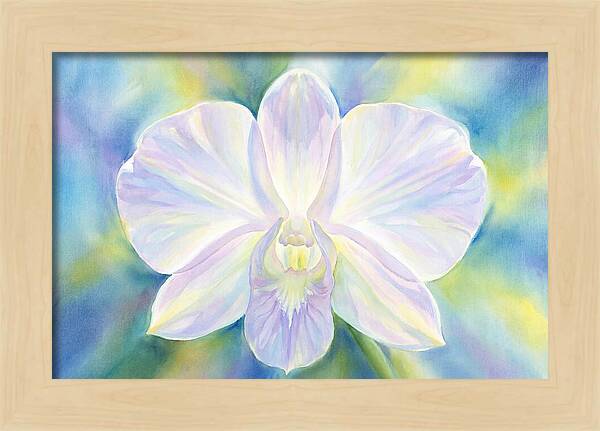 Orchid Blossom