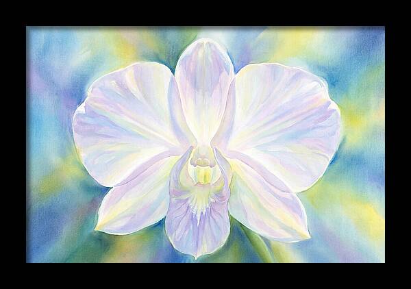 Orchid Blossom