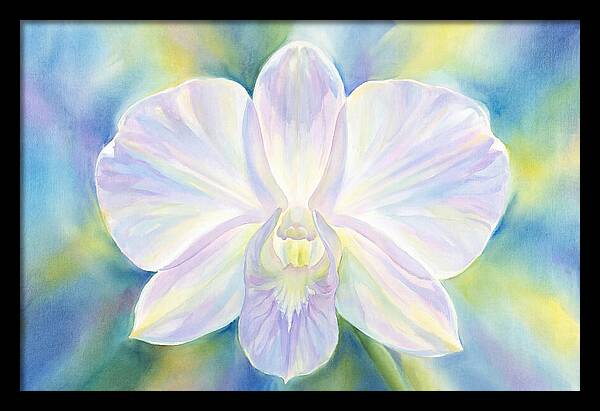 Orchid Blossom