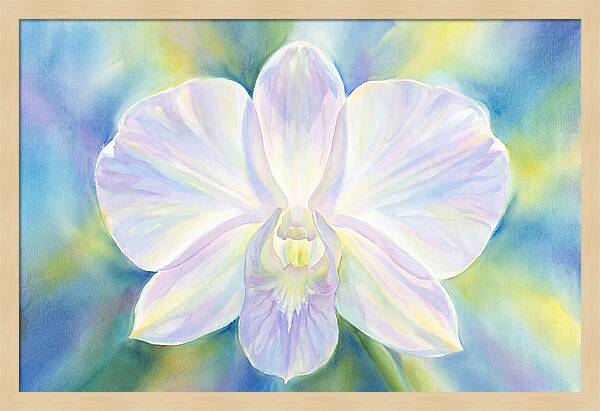 Orchid Blossom