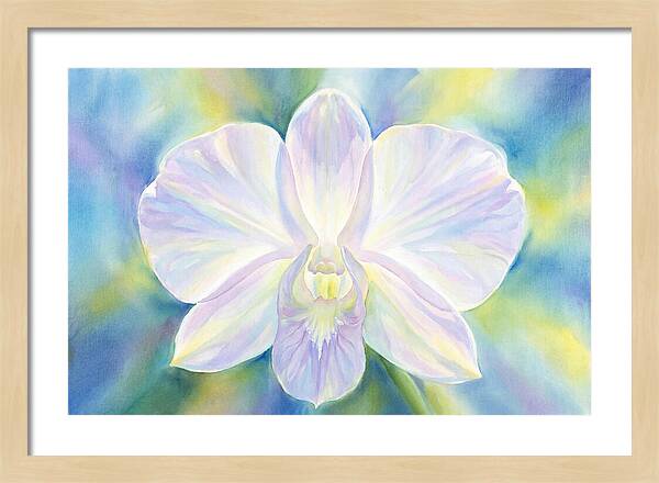 Orchid Blossom
