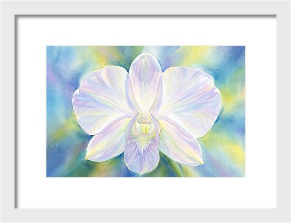 Orchid Blossom