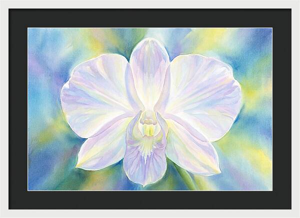 Orchid Blossom