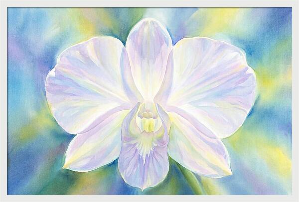 Orchid Blossom