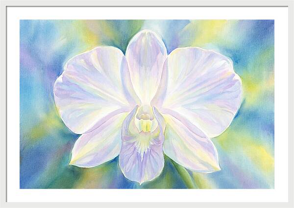 Orchid Blossom