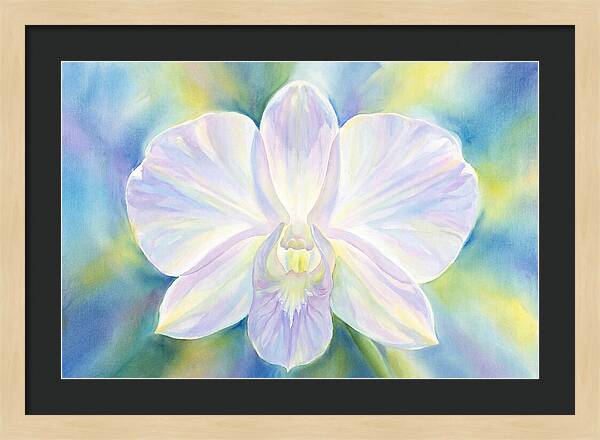Orchid Blossom