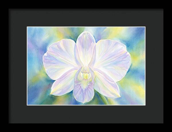 Orchid Blossom