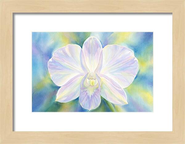 Orchid Blossom