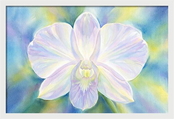 Orchid Blossom