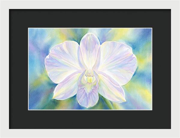 Orchid Blossom