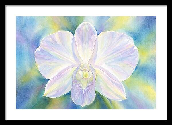 Orchid Blossom
