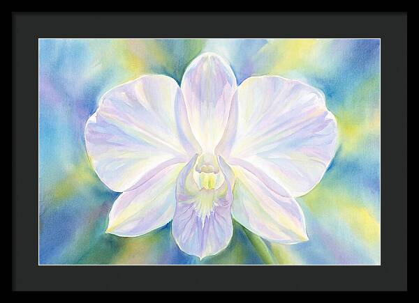 Orchid Blossom