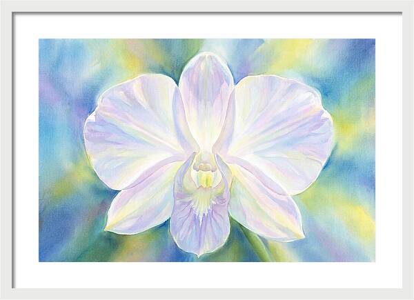 Orchid Blossom
