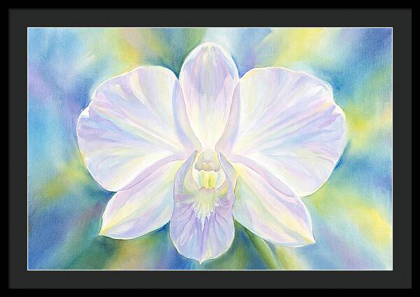 Orchid Blossom