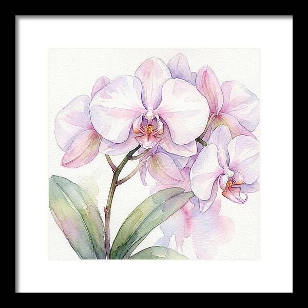 Orchid Blossom Elegance