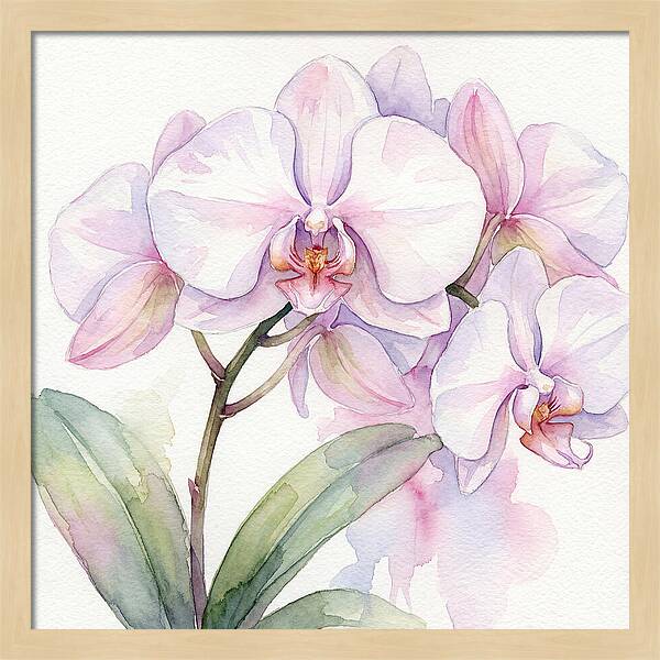 Orchid Blossom Elegance