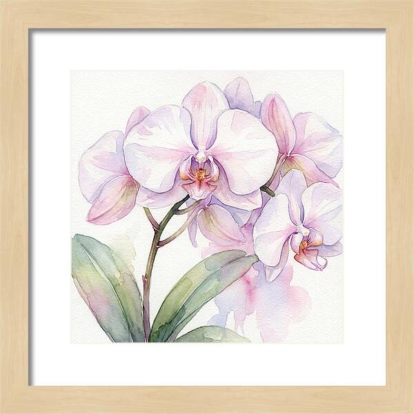 Orchid Blossom Elegance