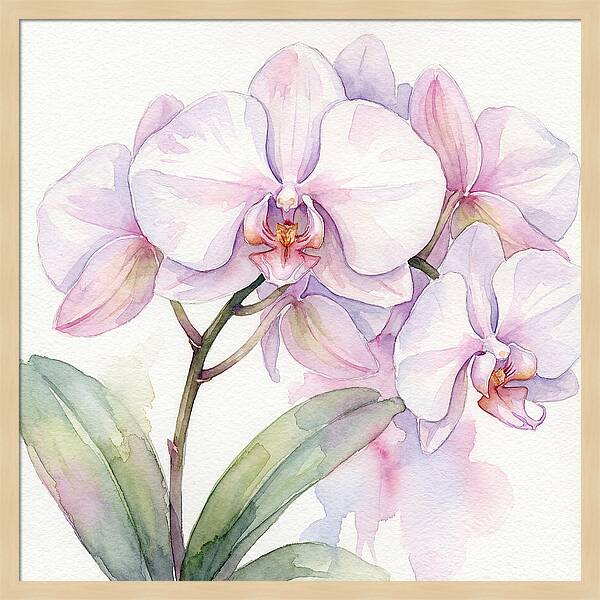 Orchid Blossom Elegance