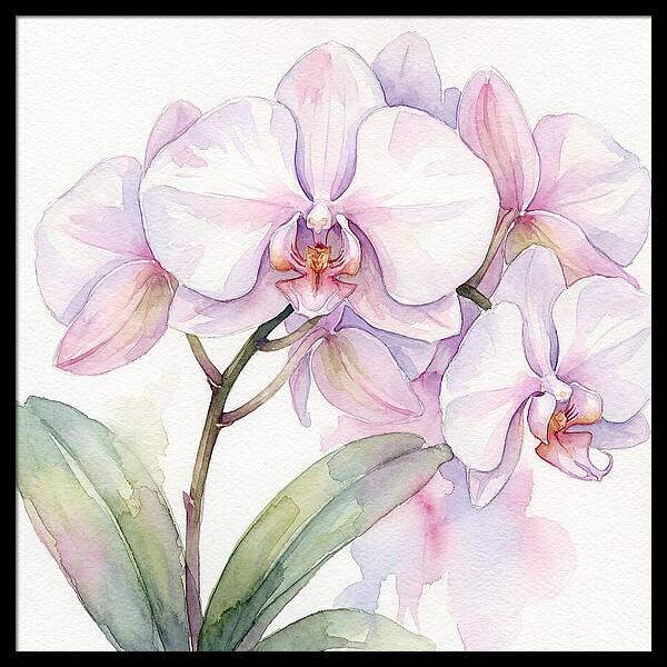 Orchid Blossom Elegance