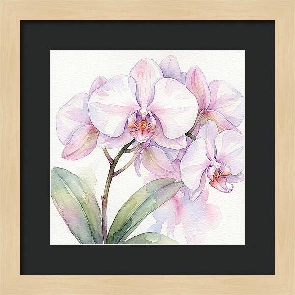 Orchid Blossom Elegance