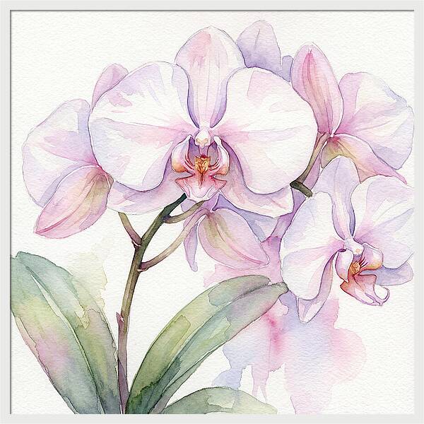 Orchid Blossom Elegance