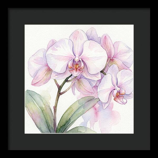 Orchid Blossom Elegance