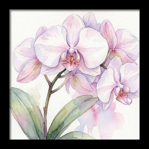 Orchid Blossom Elegance
