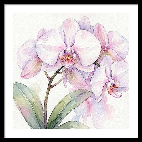 Orchid Blossom Elegance