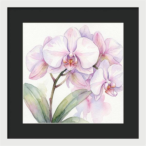 Orchid Blossom Elegance