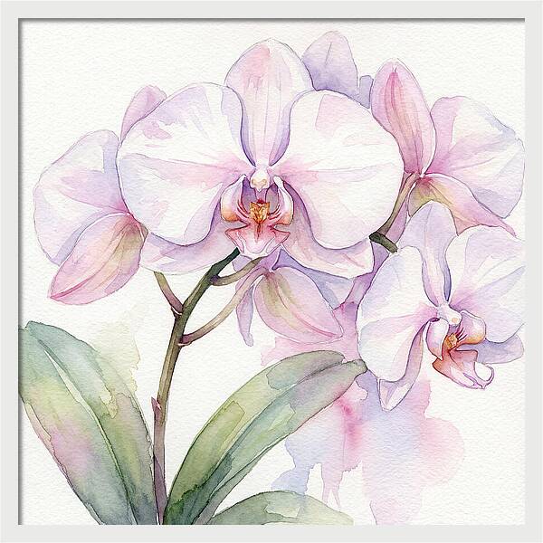 Orchid Blossom Elegance