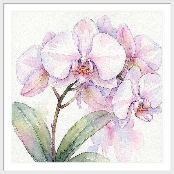 Orchid Blossom Elegance