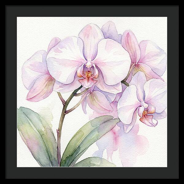 Orchid Blossom Elegance