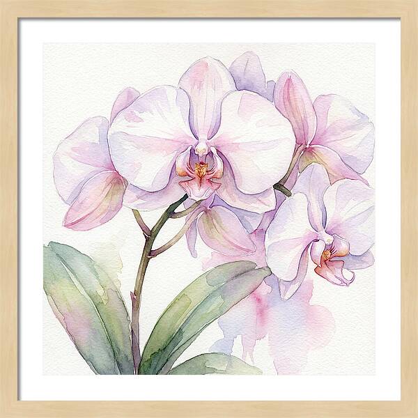 Orchid Blossom Elegance