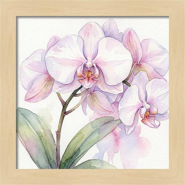 Orchid Blossom Elegance