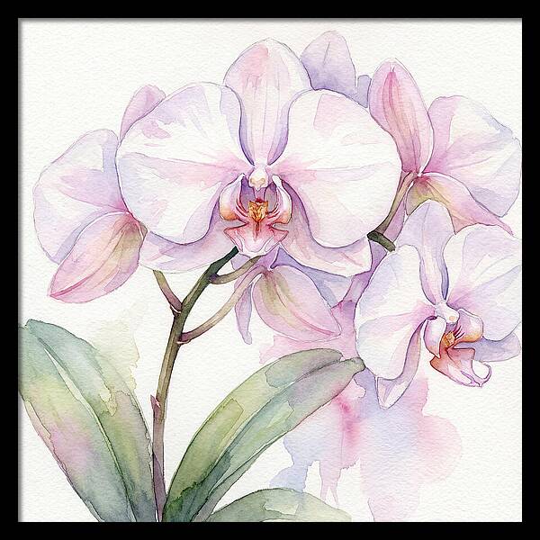 Orchid Blossom Elegance