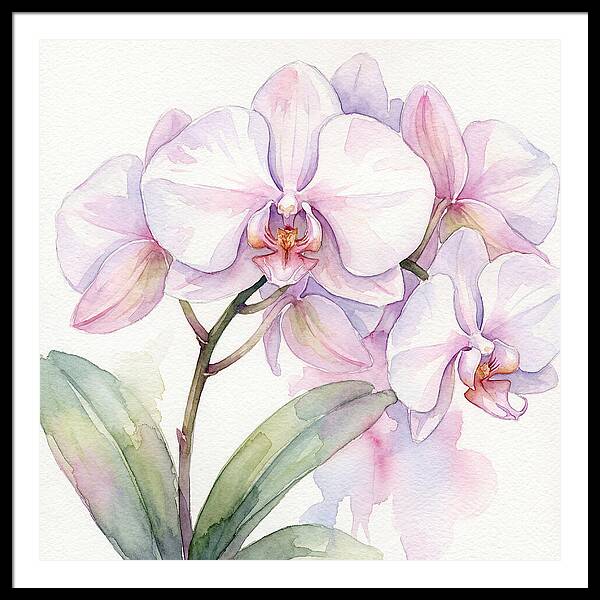 Orchid Blossom Elegance
