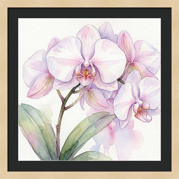 Orchid Blossom Elegance