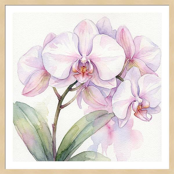 Orchid Blossom Elegance