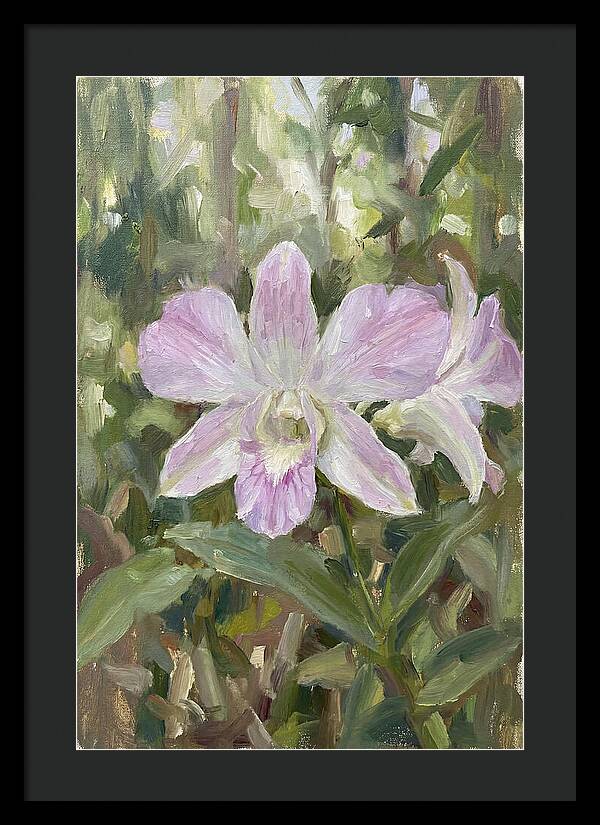 Orchid Blossom In Nature