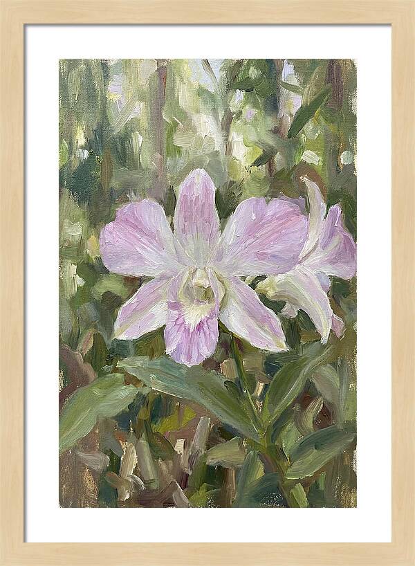 Orchid Blossom In Nature
