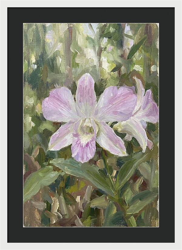 Orchid Blossom In Nature