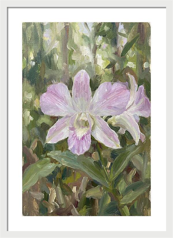 Orchid Blossom In Nature