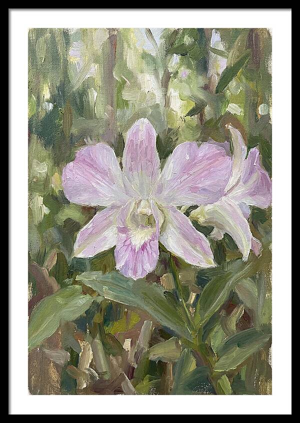 Orchid Blossom In Nature