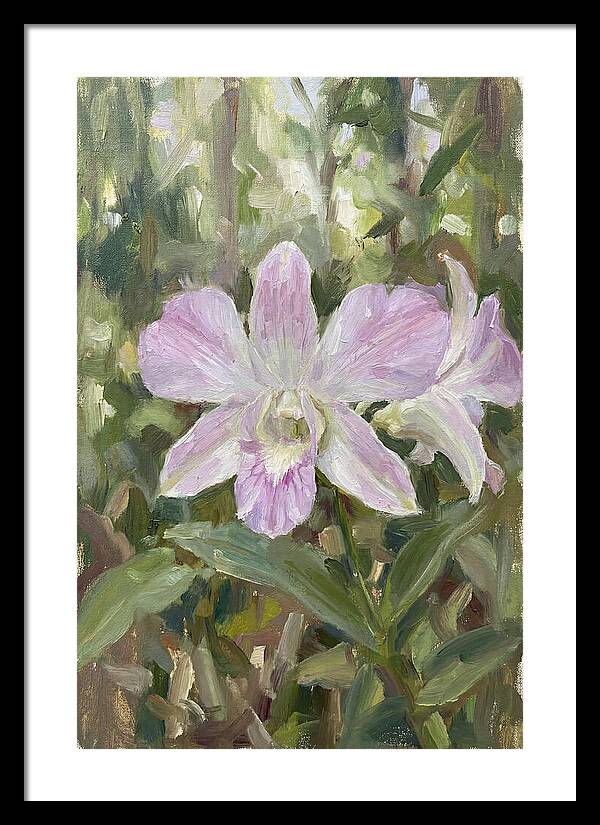 Orchid Blossom In Nature