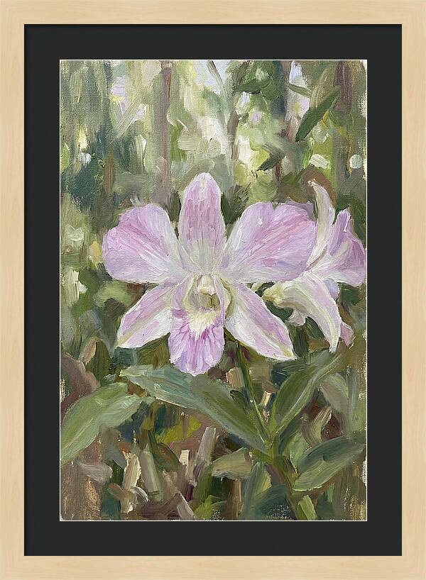 Orchid Blossom In Nature