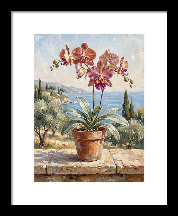 Orchid By The Mediterranean