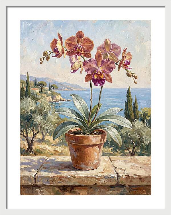 Orchid By The Mediterranean