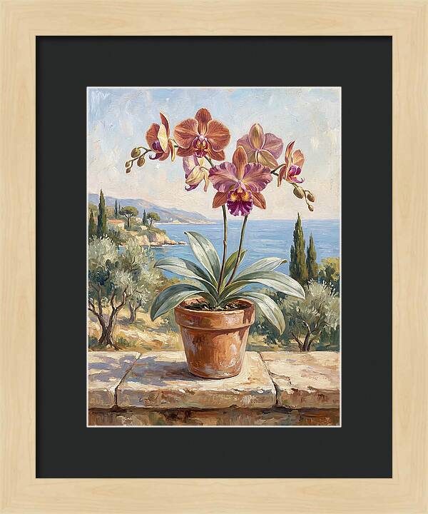 Orchid By The Mediterranean