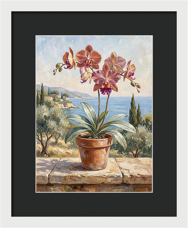 Orchid By The Mediterranean