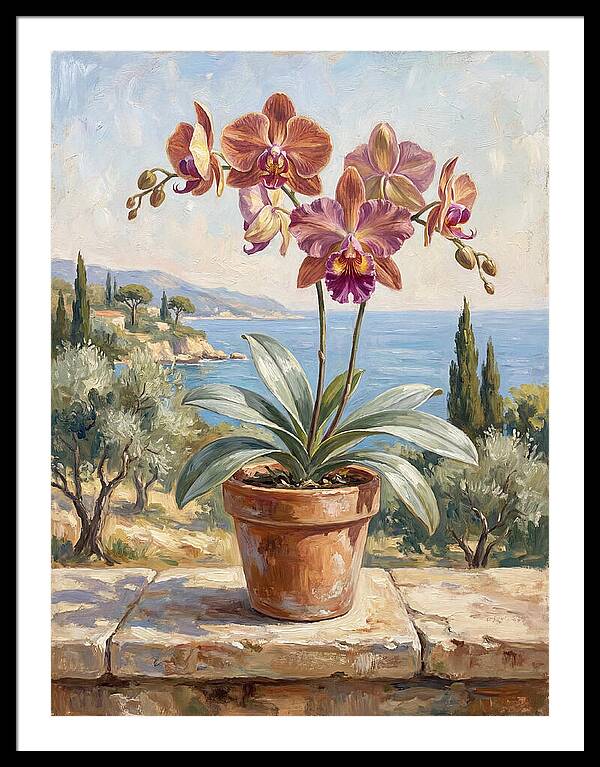 Orchid By The Mediterranean